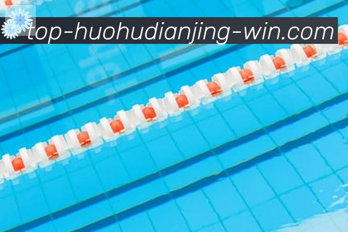 登录器
